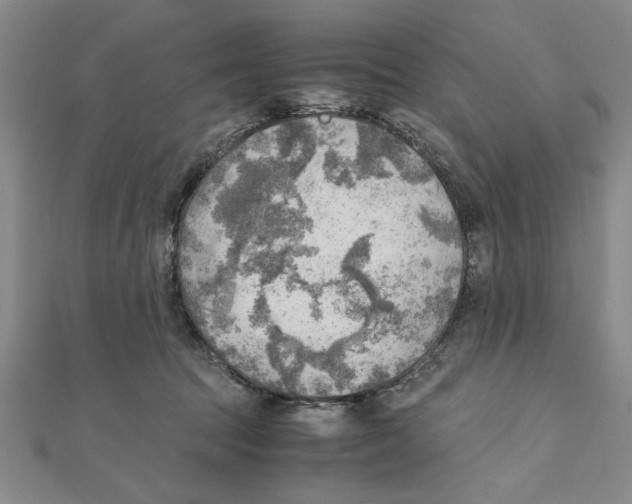 X0000111350369200908071138
