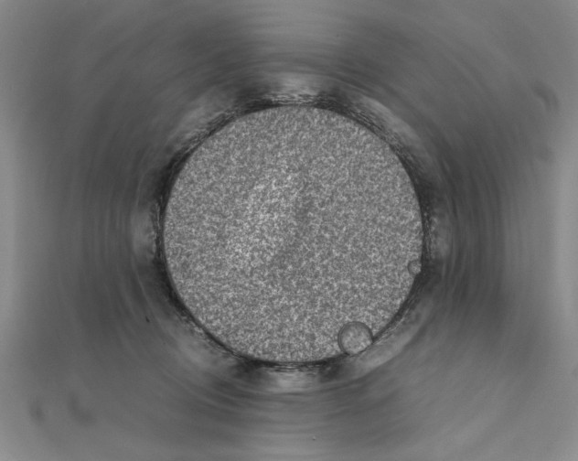 X0000111350370200908071138