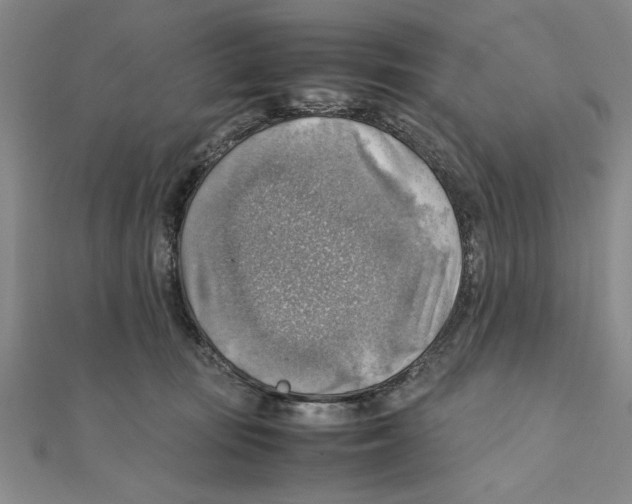 X0000111350371200908071138