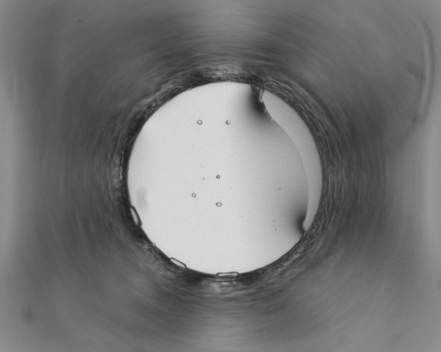 X0000111350372200908071138
