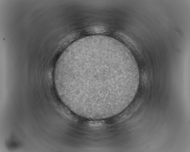 X0000111350373200908071138