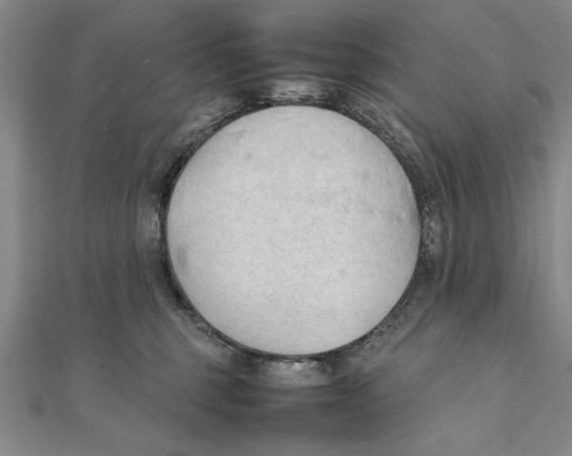 X0000111350375200908071138