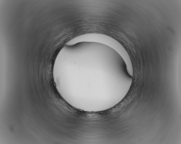X0000111350376200908071138