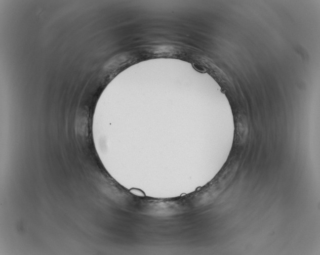 X0000111350379200908071138