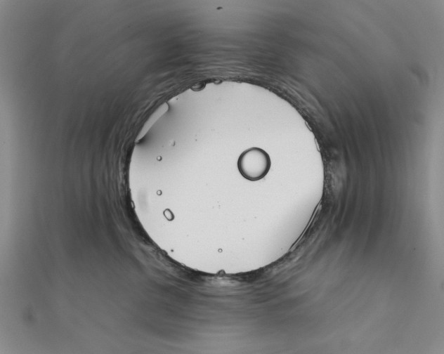X0000111350380200908071138