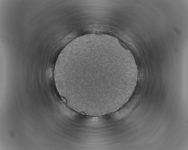 X0000111350382200908071138