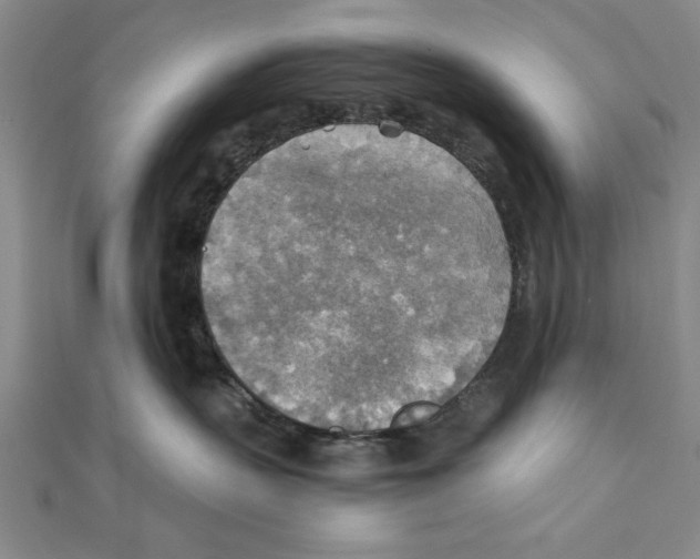 X0000111350383200908071138