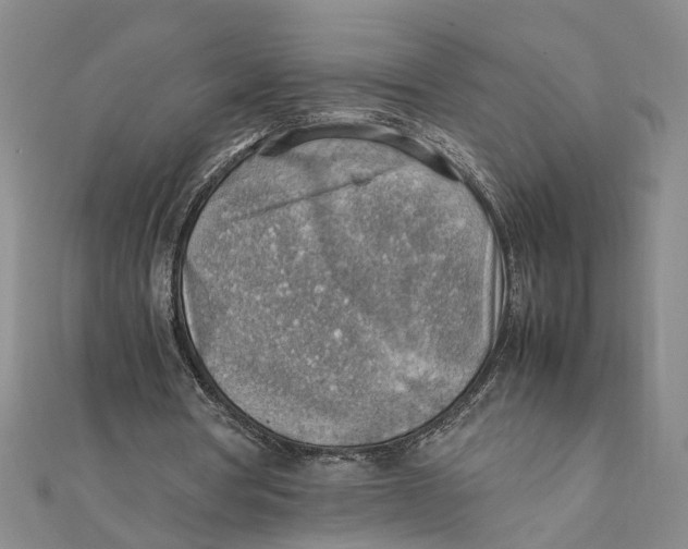 X0000111350386200908071137