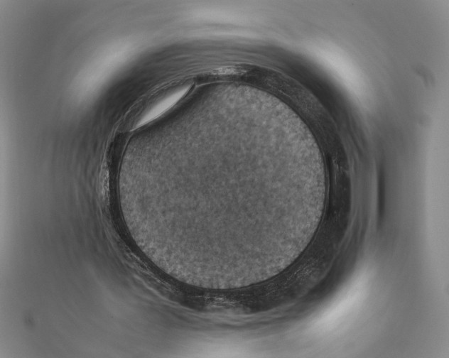 X0000111350387200908071137