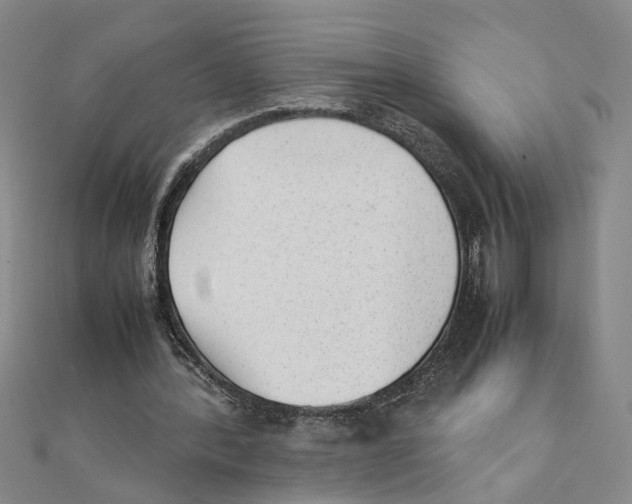 X0000111350388200908071137