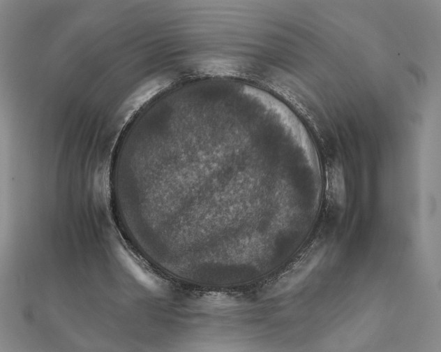 X0000111350390200908071137