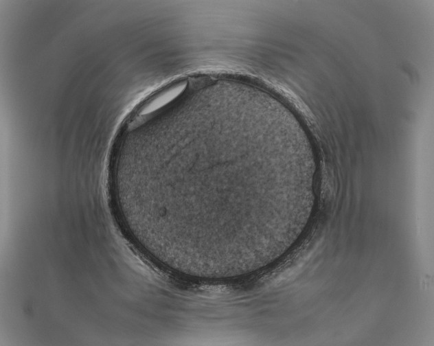 X0000111350391200908071137
