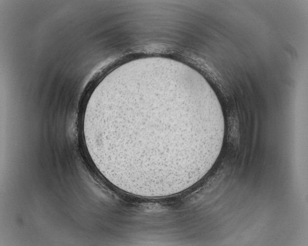 X0000111350392200908071137