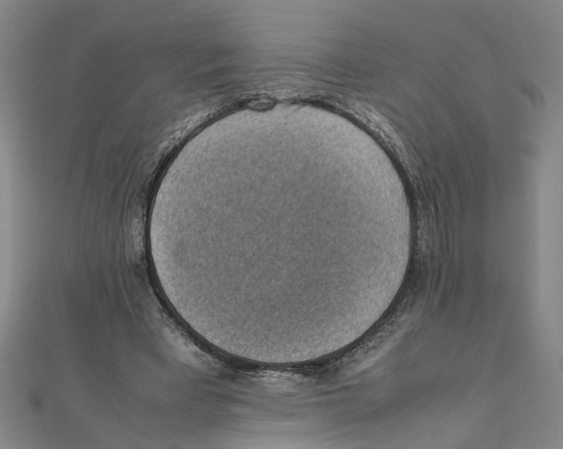 X0000111350393200908071137
