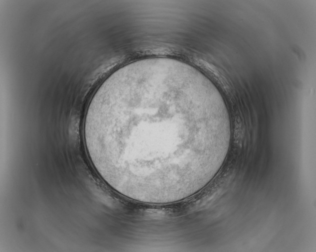 X0000111350394200908071137