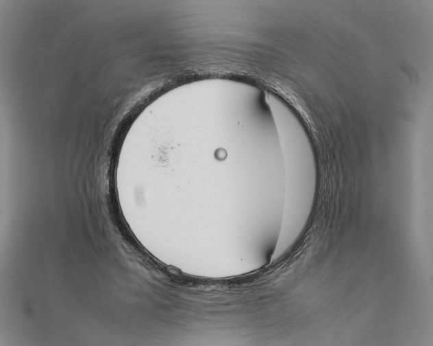 X0000111350395200908071137