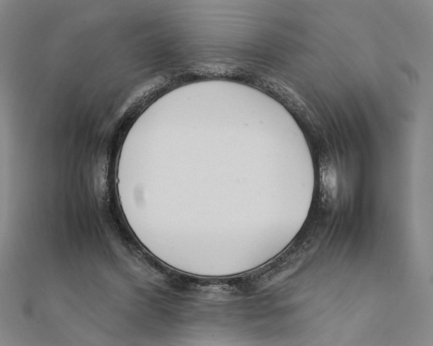 X0000111350396200908071137