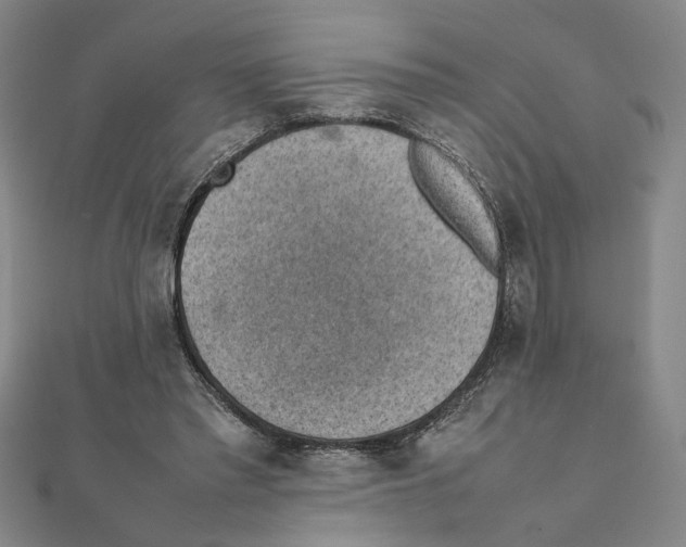 X0000111350397200908071137