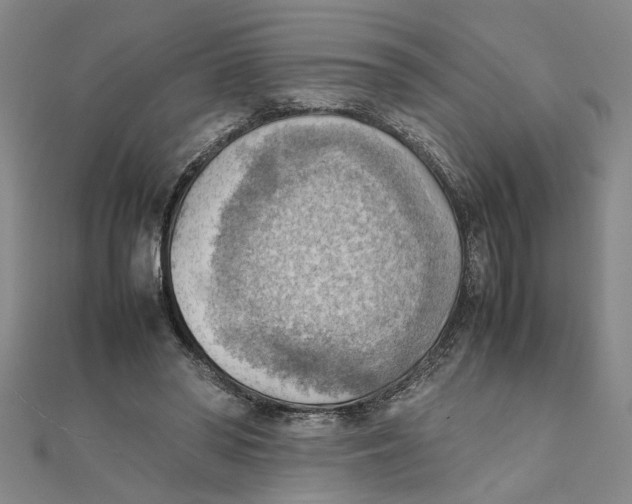 X0000111350398200908071137