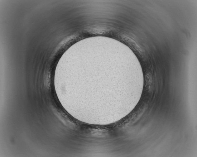 X0000111350400200908071137