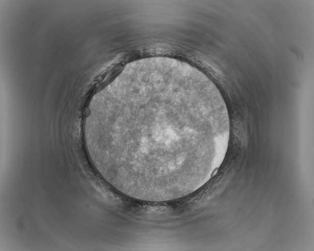 X0000111350401200908071137