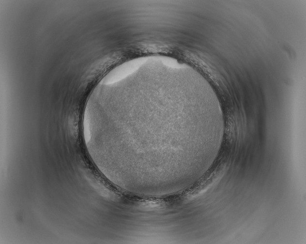 X0000111350402200908071137