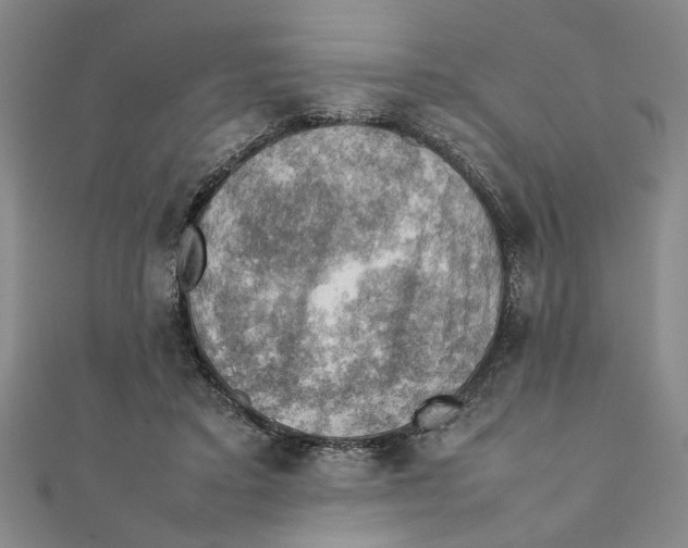X0000111350403200908071137