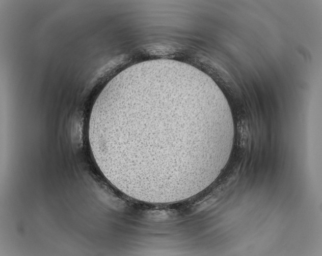 X0000111350404200908071137