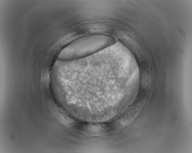 X0000111350405200908071137
