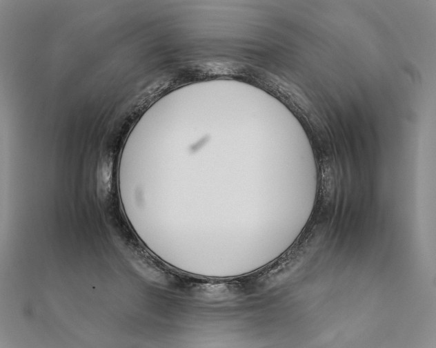 X0000111350406200908071137