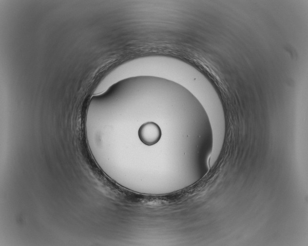 X0000111350407200908071137