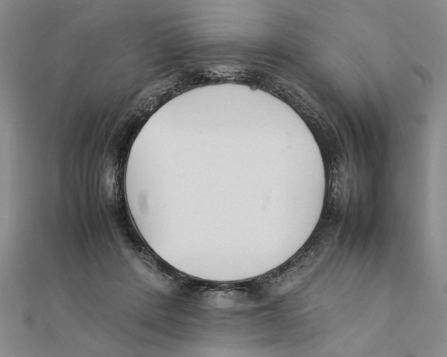 X0000111350408200908071137