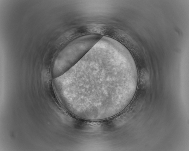 X0000111350409200908071137