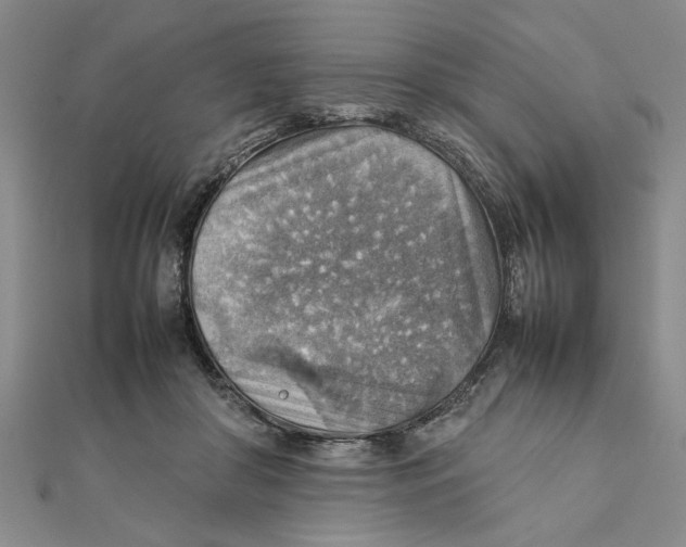 X0000111350410200908071137