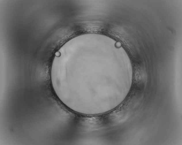 X0000111350411200908071137