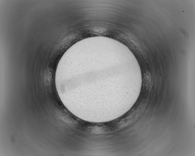 X0000111350412200908071137