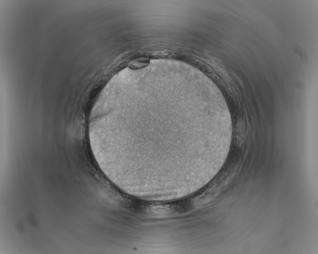 X0000111350413200908071137