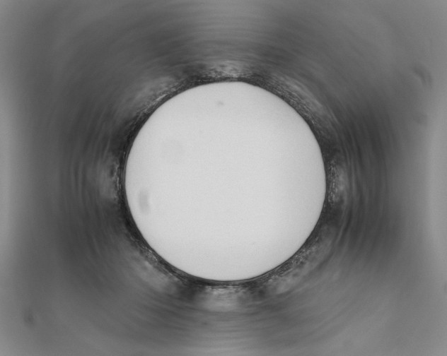 X0000111350414200908071137