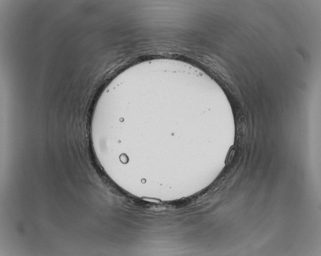 X0000111350415200908071137