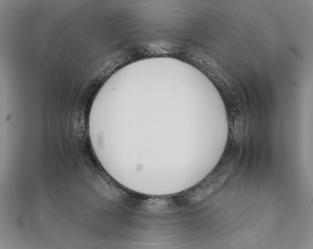 X0000111350418200908071137