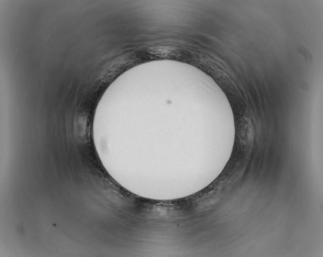 X0000111350420200908071137