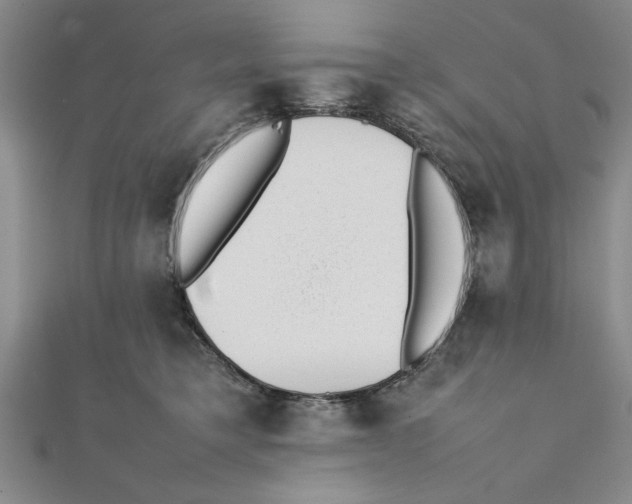 X0000111350421200908071137