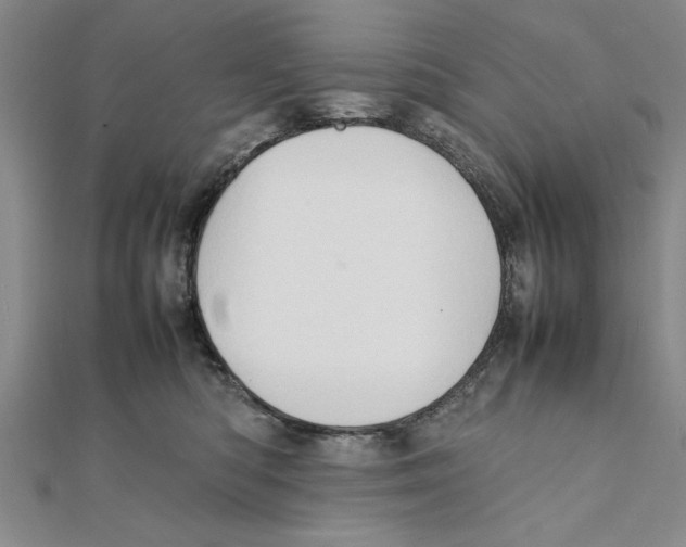 X0000111350422200908071137