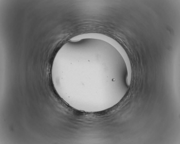 X0000111350423200908071137