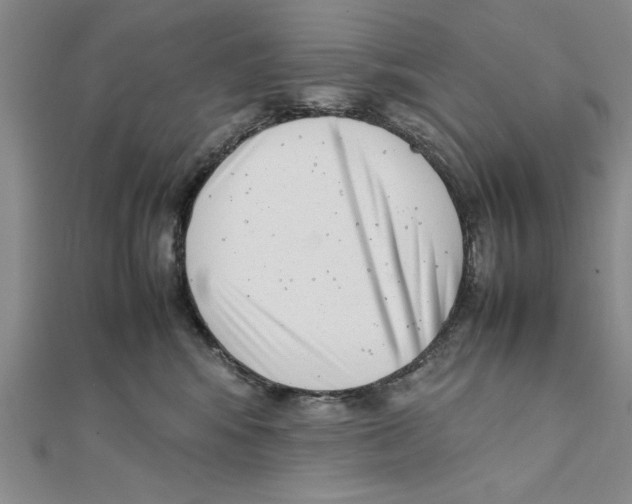 X0000111350424200908071137