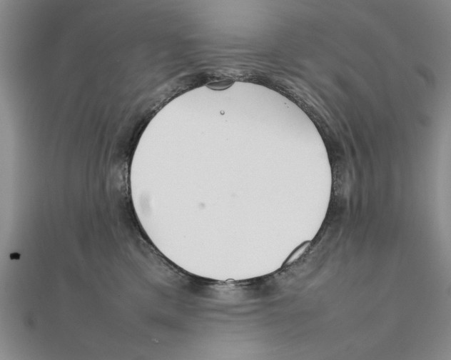 X0000111350425200908071137