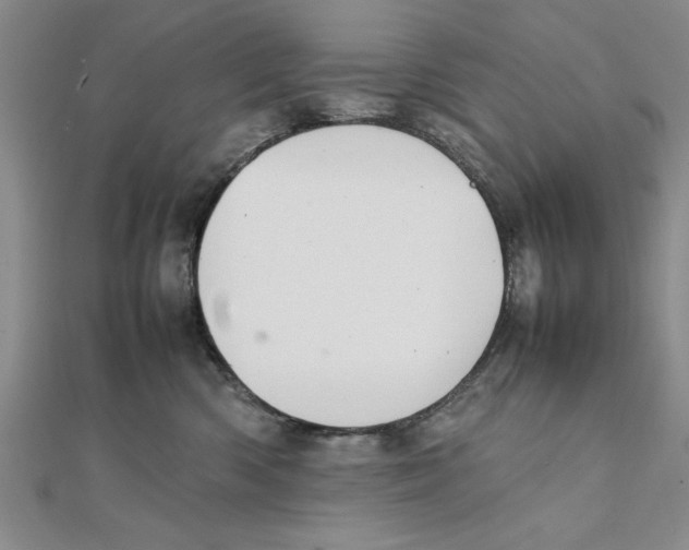 X0000111350426200908071137