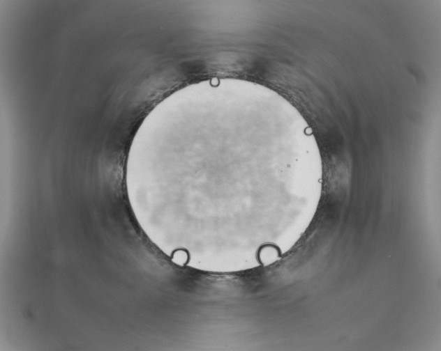 X0000111350427200908071137