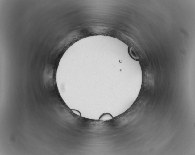 X0000111350428200908071137