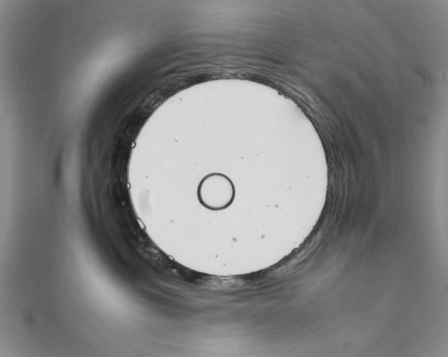 X0000111350429200908071137